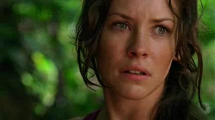 black horse and the cherry tree